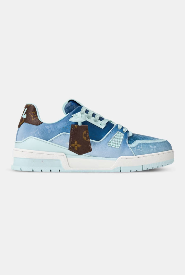 Trainer Skate Sneaker