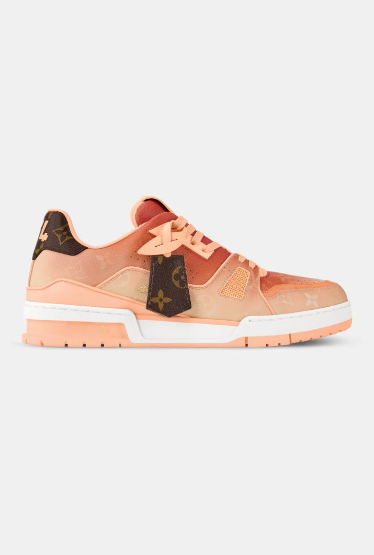 Trainer Skate Sneaker